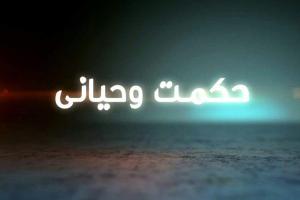 تصویر کوچک